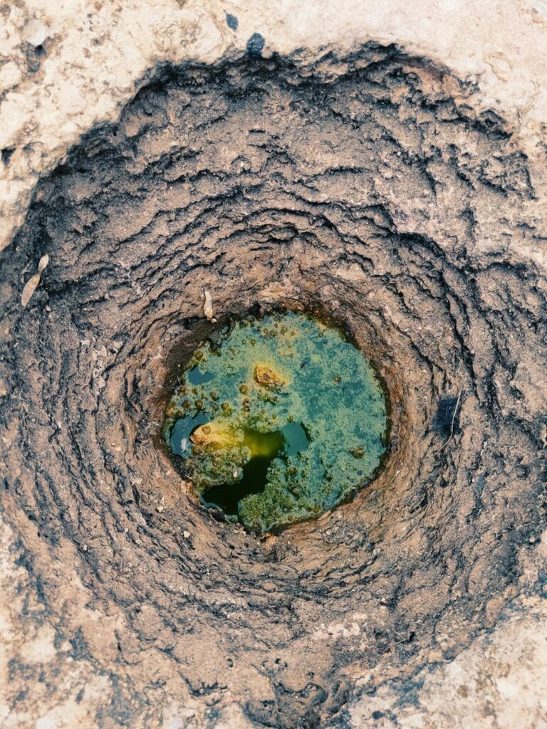 Photo by Plastic Lines on Unsplash