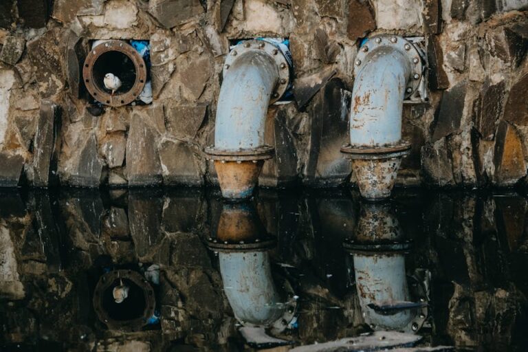 Photo by Marcelo Brigato on Pexels