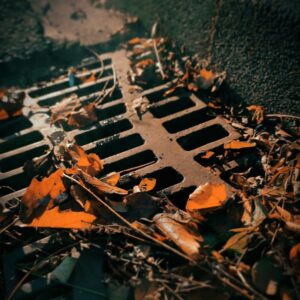Photo by Pascal Saur on Pexels