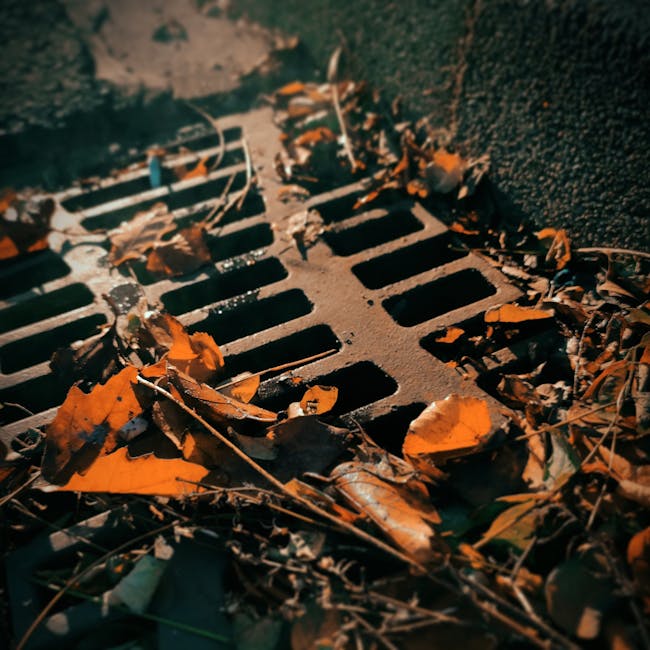 Photo by Pascal Saur on Pexels