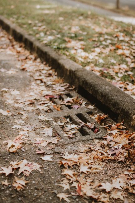 A facility manager inspecting a trench drain grate in a commercial parking lot after rain.
